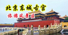 强奸美女淫穴中国北京-东城古宫旅游风景区